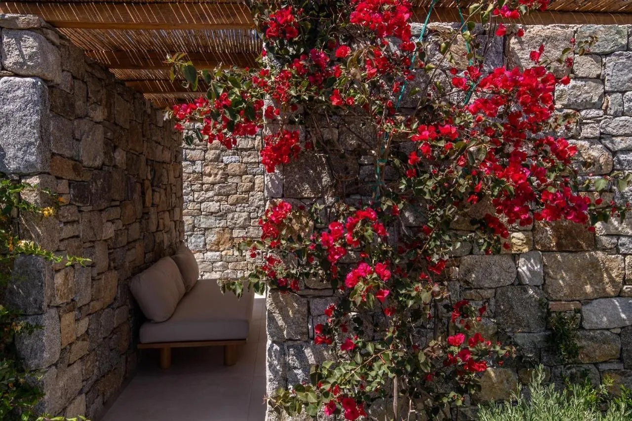 Hotel Mykonos Drops Platis Gialos